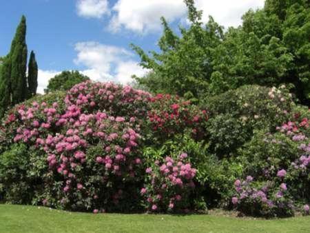 Hotel Cisswood House Horsham Esterno foto